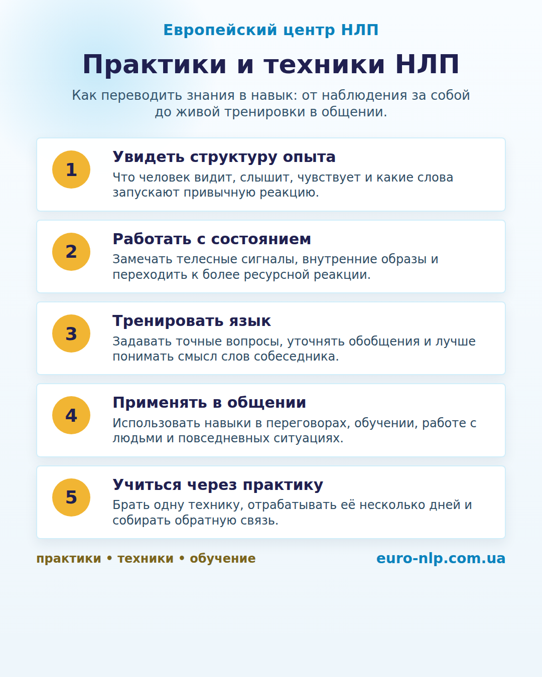 Инфографика о практиках и техниках НЛП: структура опыта, состояние, язык, общение и тренировка